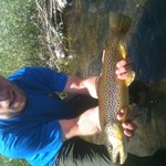 Just one of many beauties! 