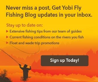 blog sign up